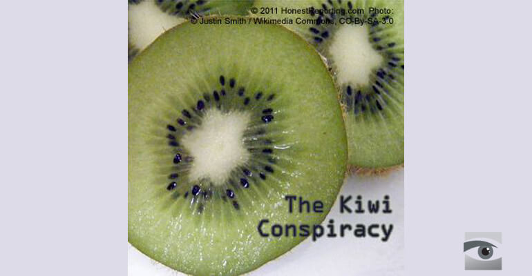 Media Fans Flames of Mossad Kiwi Conspiracy