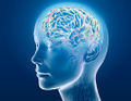 Does Web Surfing Alter the Brain?