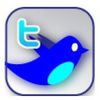 How Tweet It Is