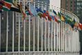 Goldstone Fallout At the UN