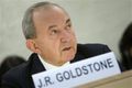 Understanding the Goldstone Report