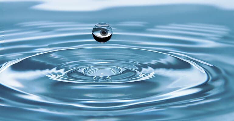 The Ripple Effect of Media Bias