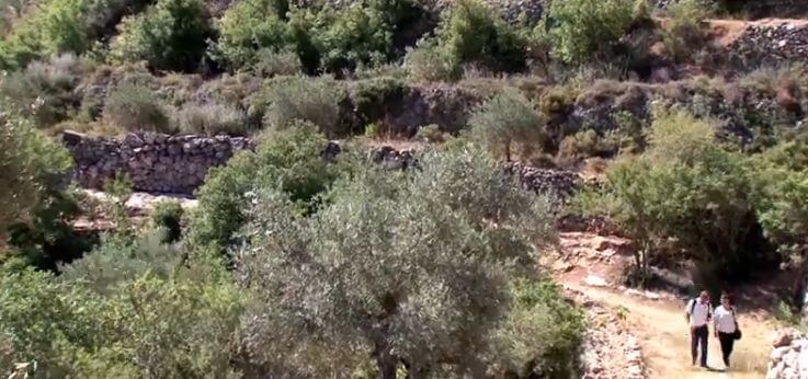 Battir