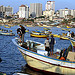 Israel Daily News Stream 05/24/2012
