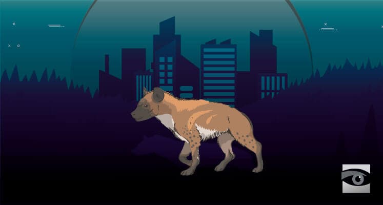 Hyenas Publishing News Scraps Are No Laughing Matter