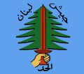 SLAsymbol