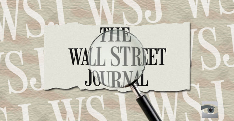 Wall St Journal “Alleges” Terror Took Place