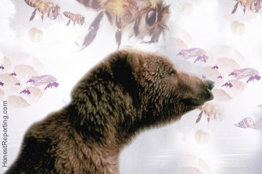Washington Post: “Bee Stings on the Israeli Bear’s Behind”