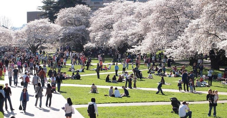 What Universities Can Learn from Israel’s Status on Campus
