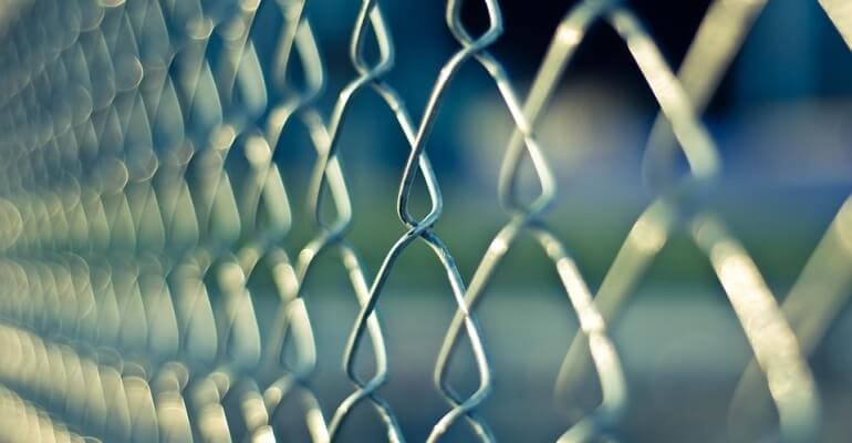 Seeds of Peace – Israel Insights