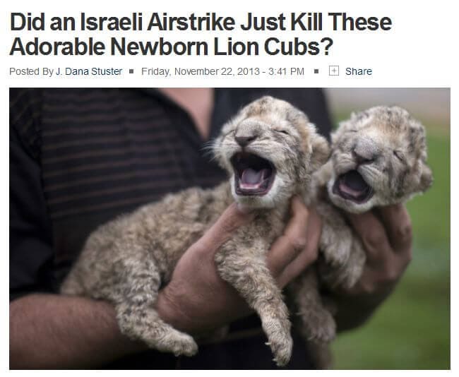 Israel the Cuddly Lion Cub Killer