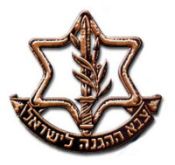 Israel Releases Goldstone Response