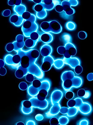 molecules
