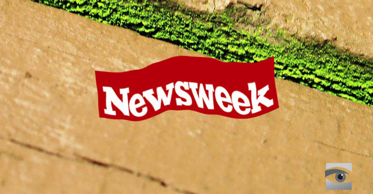 Newsweek Mangles the Green Line