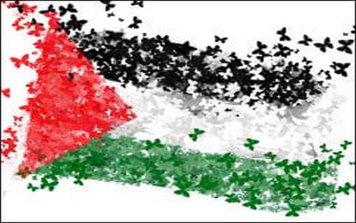 Palestinian Flag Falsely Used to Represent WW2 Pilot