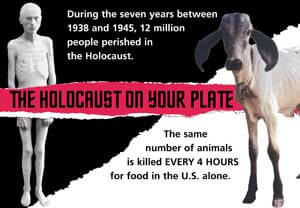 PETA ad campaign