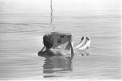 Dead Sea