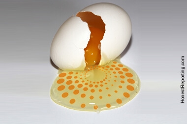 reuters-broken-egg-01