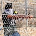 The Guardian Walls Out Israelis, Suicide Bombers, and Balance
