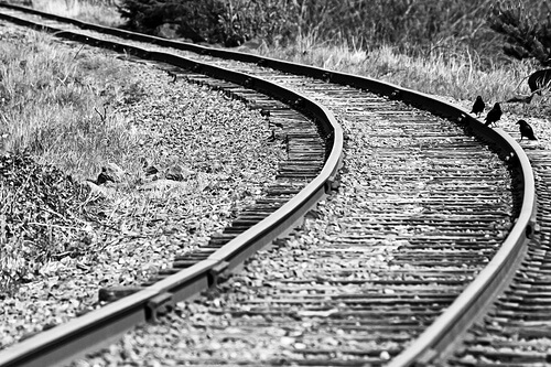 tracks tracks