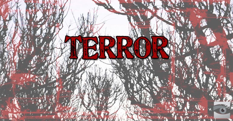Video: The Definition of Terror