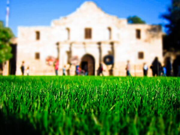Alamo