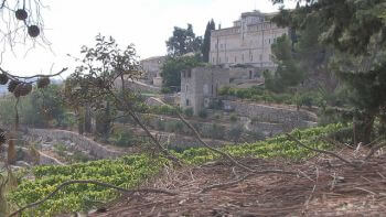 Cremisan Monastery