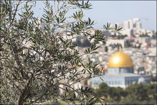 Dome of the Rock
