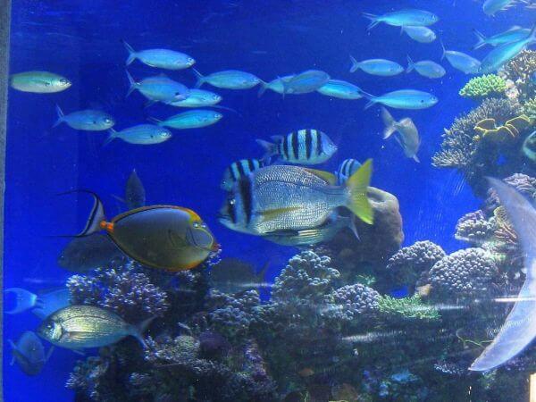 Eilat