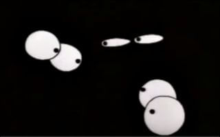 eyes