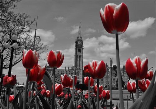 parliament-hill