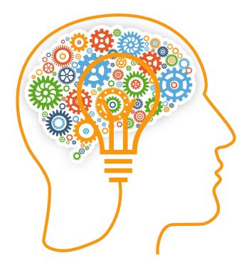 brain