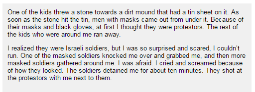 btselem-testimony