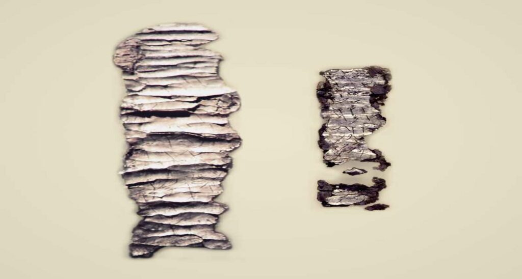 Israeli Archaeological Treasures Align With Hebrew Bible Accounts