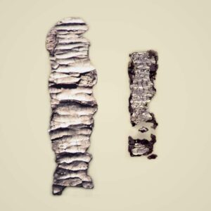 Ketef Hinnom amulets