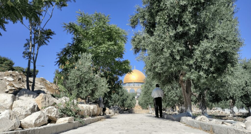 Tisha Be’Av Reflections from HonestReporting (VIDEO)