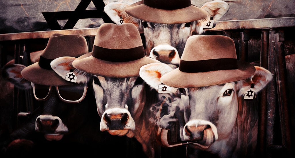 Mooove Over, Wild Boars: Spy Cows Are the Latest Anti-Israel Conspiracy Theory