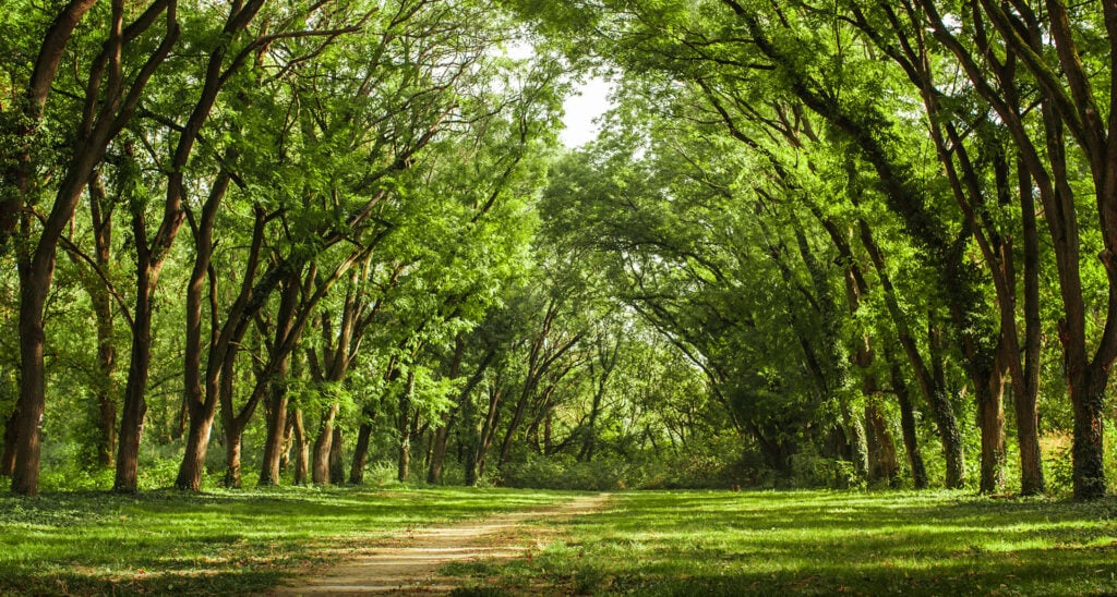 Good COP/Bad COP: Why Attacking Israel on the Environment Is Verbal Pollution
