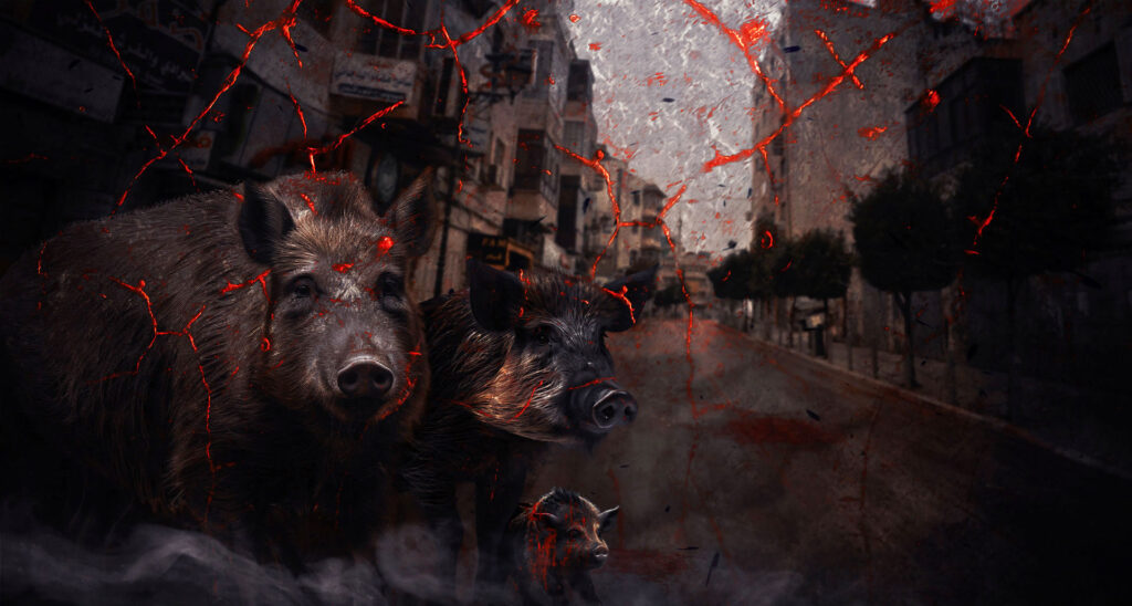 Hogwash: The Israeli Boars Conspiracy