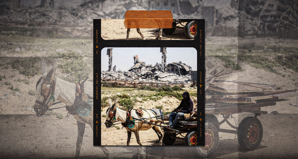 Is the Arab World Unwilling To Help Palestinians?