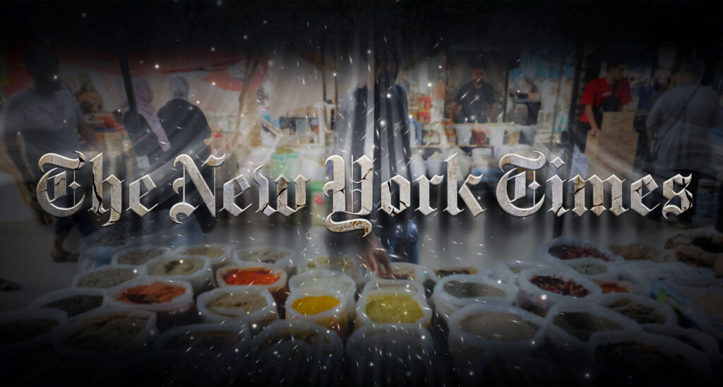“I’m a Genocide Scholar”… And I’ve Been Prepping My NYT Genocide Case Against Israel for Years