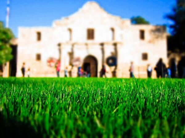 Alamo