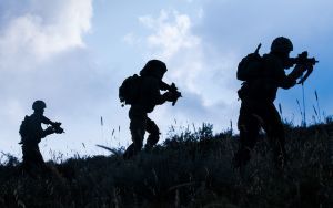 IDF
