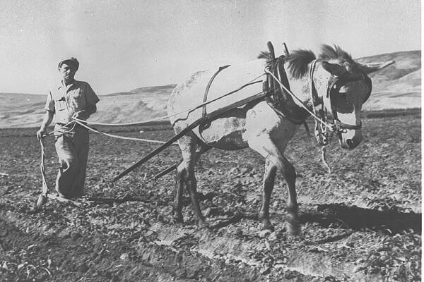 Kibbutz Degania