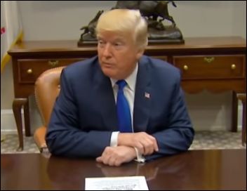 President Donald Trump
