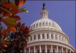 US Capitol
