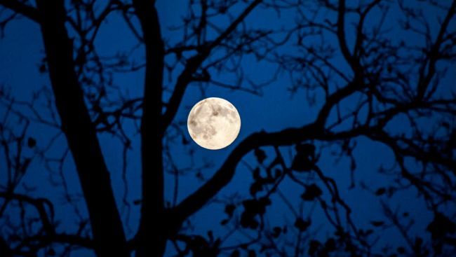 moon
