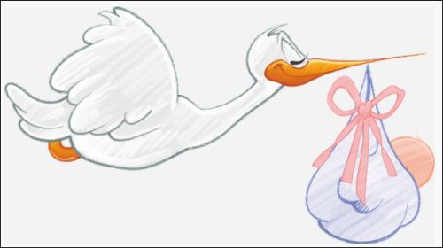stork