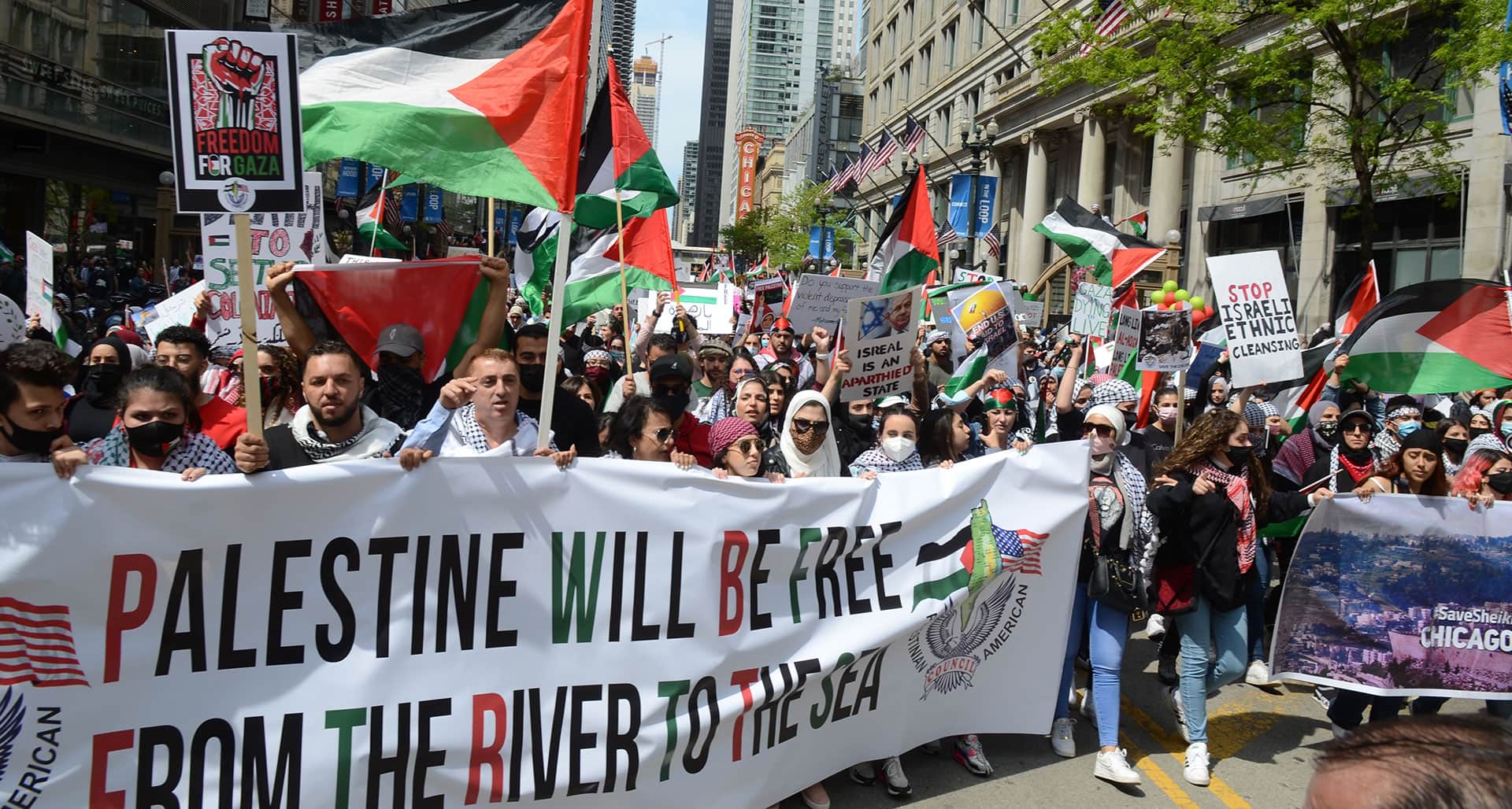 Harvard Law School Teams Up With Palestinian NGO Whose Board Members Include Convicted Terrorists - Vimarsana News